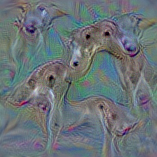 n02091032 Italian greyhound